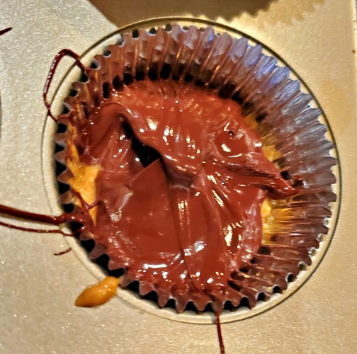 peanut Butter cup topped with melted chocolate before freezing