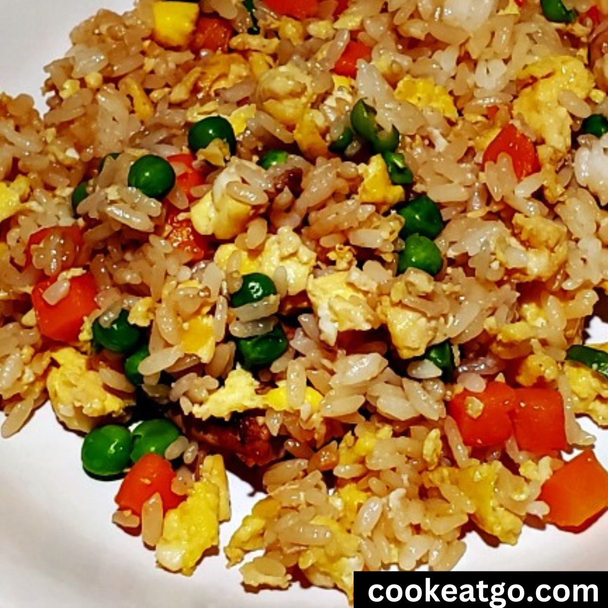Pork fried rice cooked and served on a white plate 