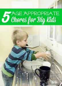 These 5 Age Appropriate Chores for Big Kids are a great way to build hard work ethic in your kids and also have them help around the house.