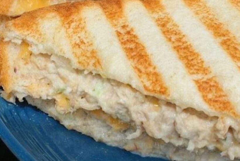 Tuna and cheese panini sliced open on a blue plate