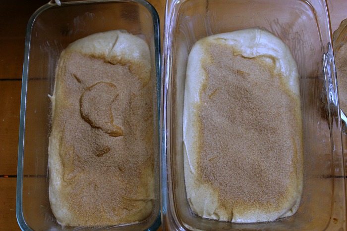 Amish Friendship bread in loaf pans before baking 