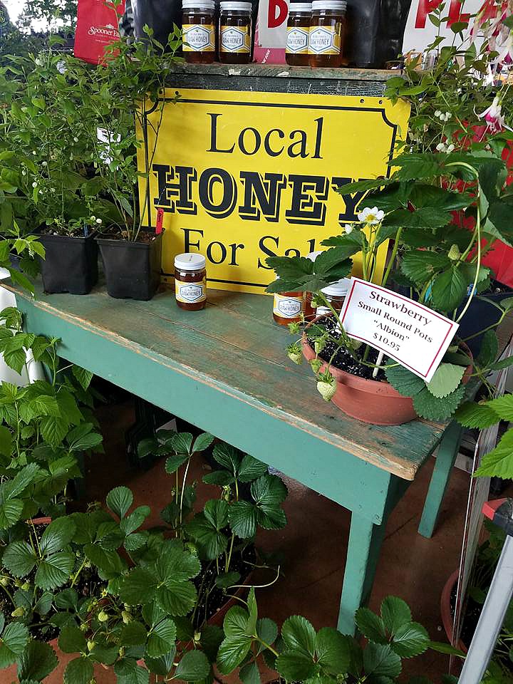 Local honey at a farmers market