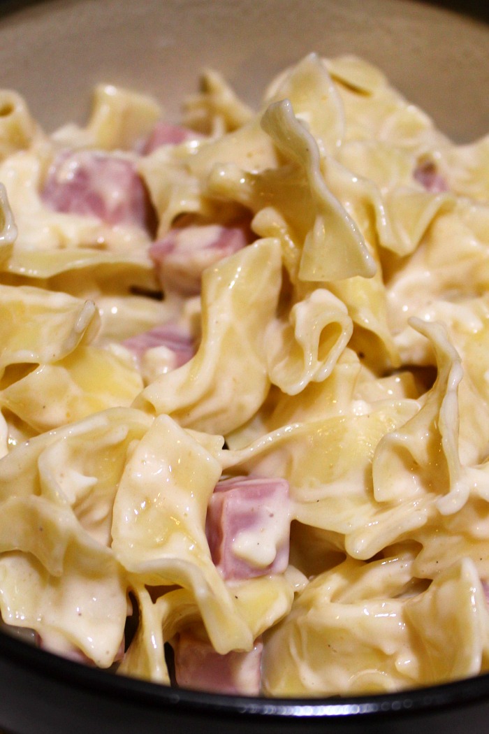 These Easy One Pot Cheesy Ham Noodles is perfect quick night dinner to make that the kids will love!! Plus it only requires one dish and is budget friendly. 