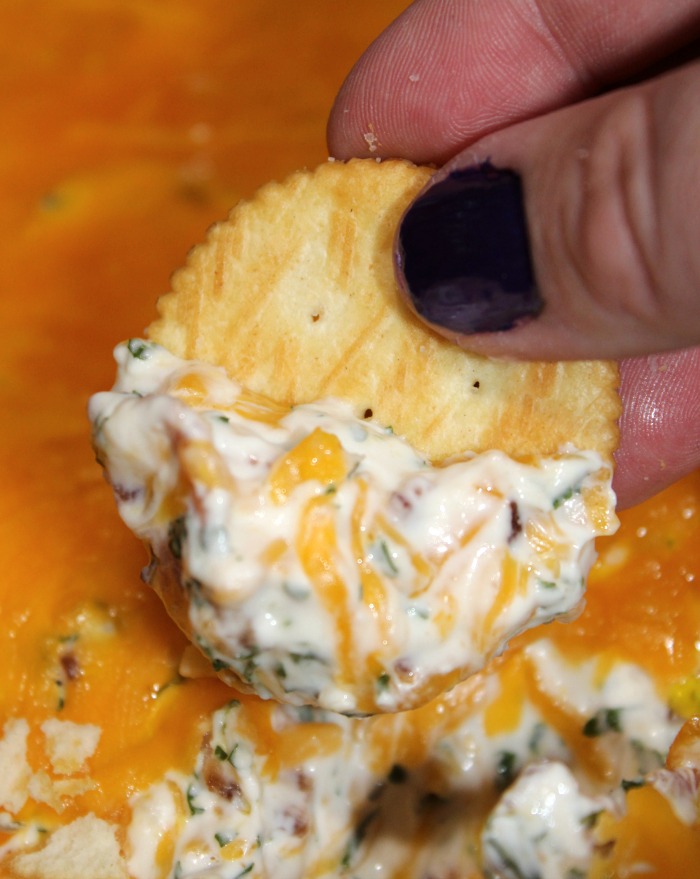 Creamy Cheddar Bacon Dip with a cracker dipping into it