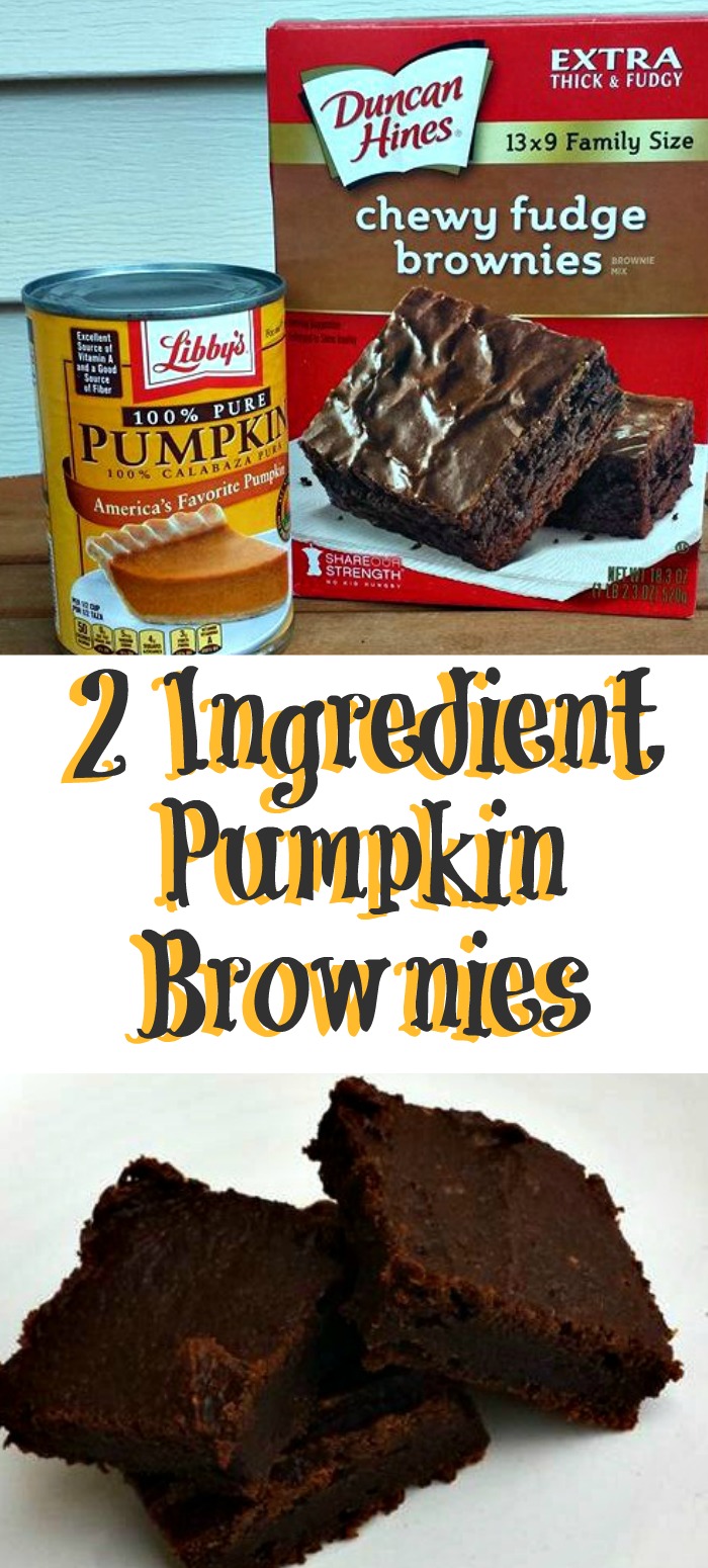 These 2 Ingredient Pumpkin Brownies are a quick and easy low Weight Watchers points dessert! Plus they are fudge-like in consistency! 