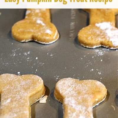 This easy Pumpkin Dog Treat Recipe is perfect to make for your dog! With only four ingredients they are also super quick to whip up a batch.