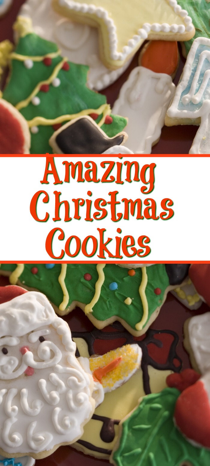 Christmas cookies are the best part of the holidays!! We always try to make several different varieties and to try out and give as gifts!