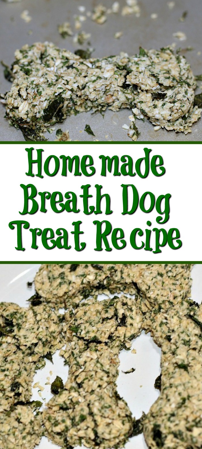 This Homemade Breath Dog Treat Recipe is the perfect treat to make for your dog! Only a couple ingredients know exactly what your dog is eating!