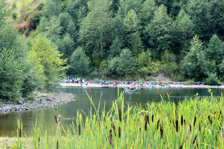What To Do At Coldwater Lake In Mt St Helens National Park!! With fishing, boating, swimming, and hiking there is plenty to spend the day being busy! 