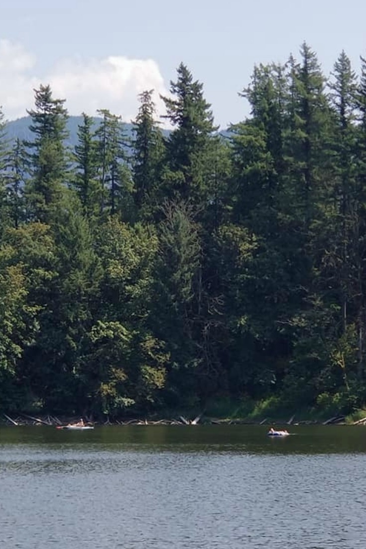 There is so much to see and do at Nolte State Park! This day-use park has swimming, fishing, boating, parks, and park shelters perfect for summer days!  #washington #wastateparks #pnw