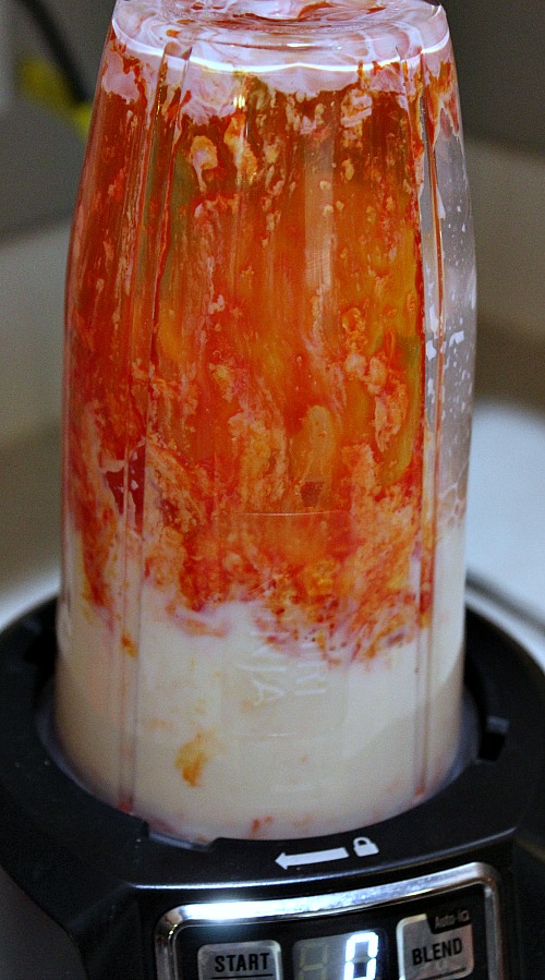 Orange Creamsicle Protein Shake mixing in ninja blender mixing