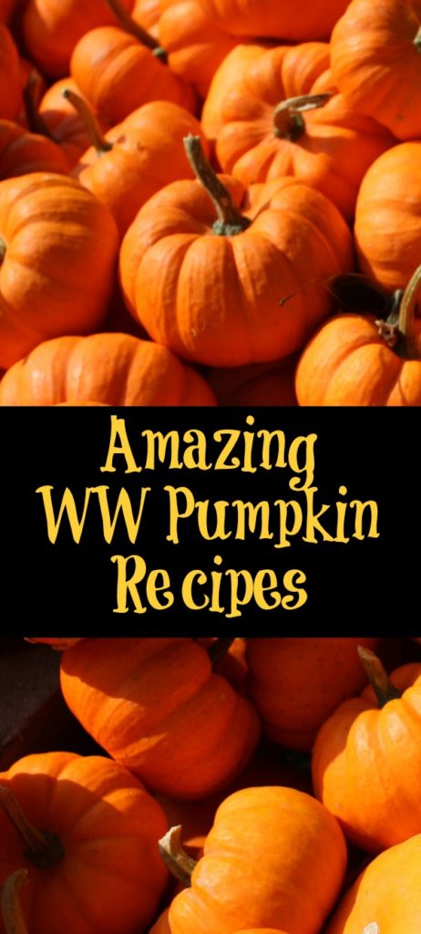 These WW Pumpkin Recipes are perfect to make for fall and a great way to stay on track with Weight Watchers. Pumpkin drinks, breakfast, dessert, and meals.