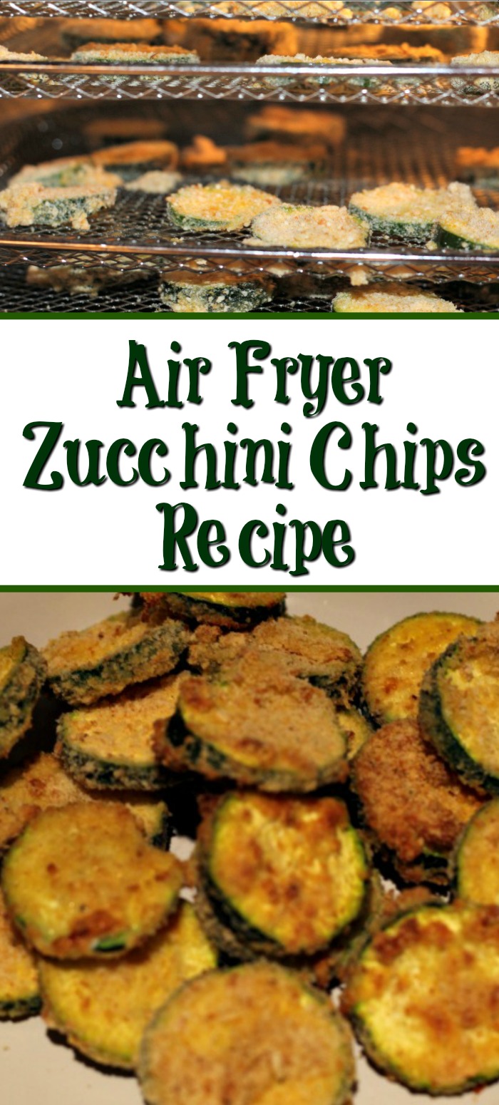 Air Fryer Zucchini Chips Recipe Plus PowerXL Air Fryer Pro Review!! So easy to make and a healthy alternative to chips as well.