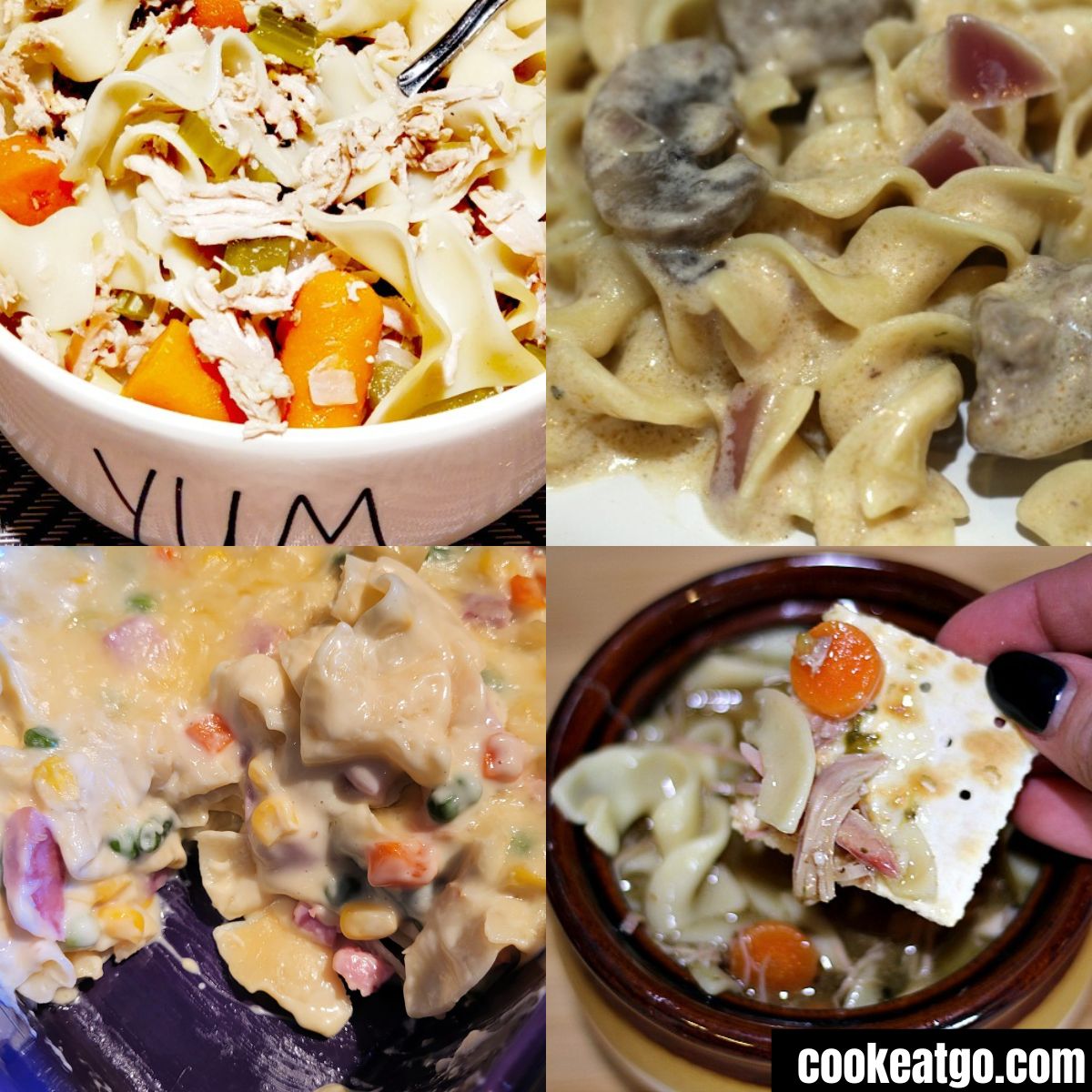 Collage with Chicken Noodle Soup,  Beef Stroganoff, ham noodle casserole and turkey noodle soup
