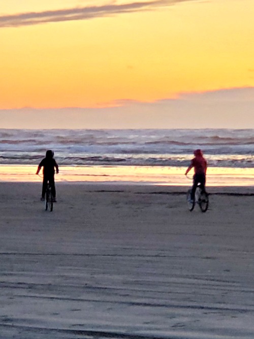 Your Family Will Love The Adrift Hotel in Long Beach WA! Right on the beach, close to town, bikes to ride, pool, and sauna perfect staycation! 