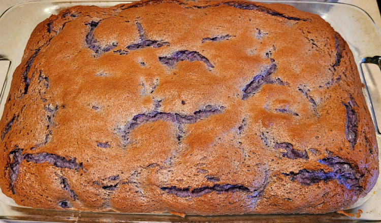 Baked 2 Ingredient Blueberry Angel Food Cake in pyrex pan