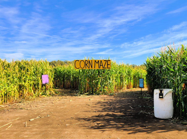Corn maze in union gap 