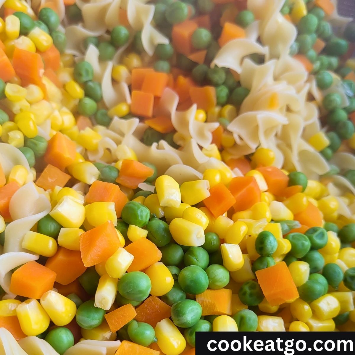Peas, carrots, corn, and no yolk noodles mixed together