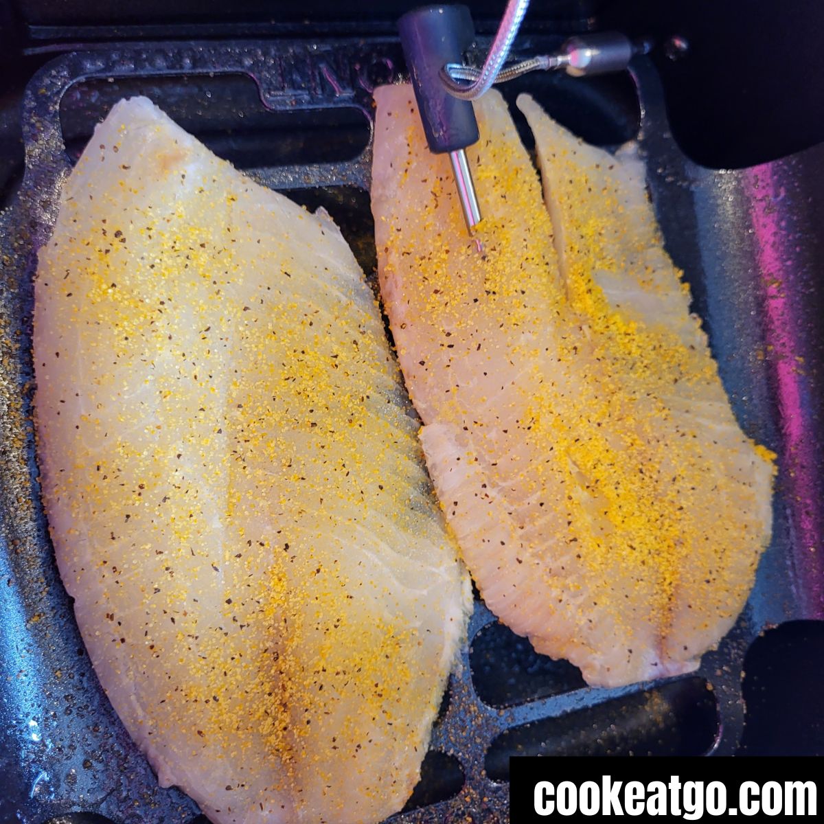 Weight Watchers Air Fryer Tilapia seasoned with lemon pepper in dreo chefmaker with temperature probe