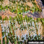 Oven Roasted Parmesan Asparagus on a cookie sheet covered in foil baked