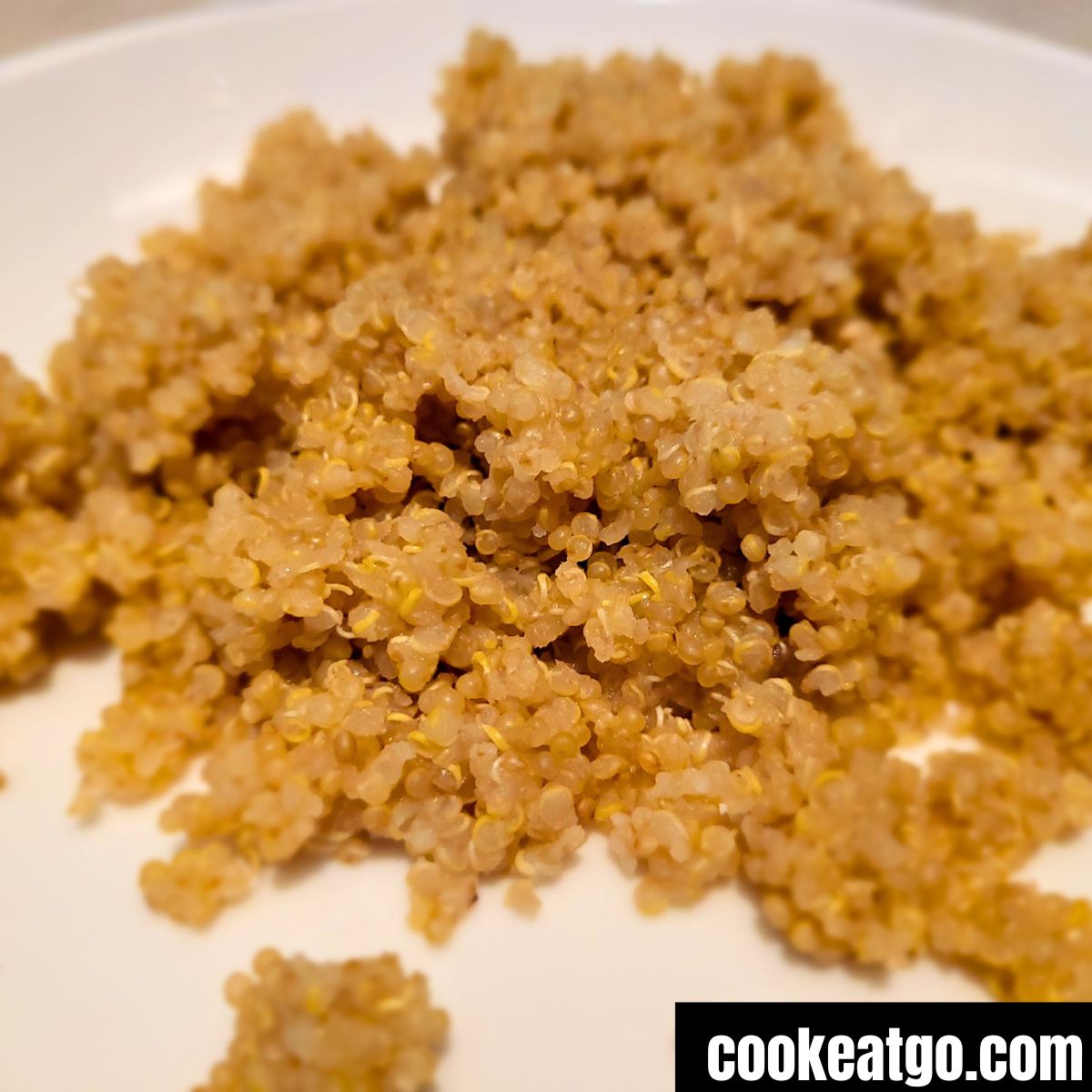 cooked slow cooker Quinoa on a white plate