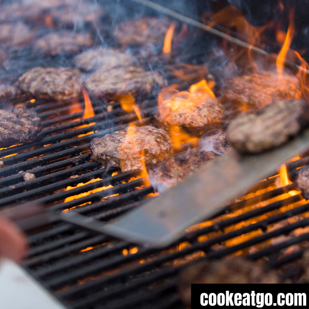 Try Burger Must Try Burgers - Cook Eat Go